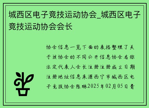 城西区电子竞技运动协会_城西区电子竞技运动协会会长